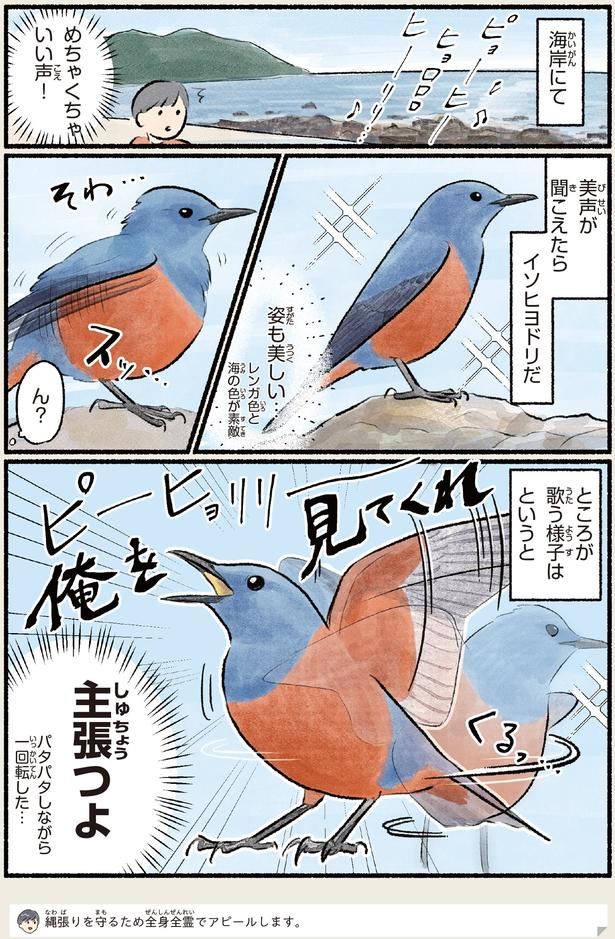 主張つよ （C）piro piro piccolo／KADOKAWA