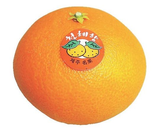 康津農水産