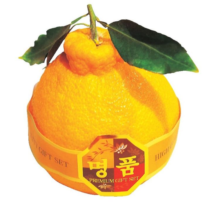 康津農水産