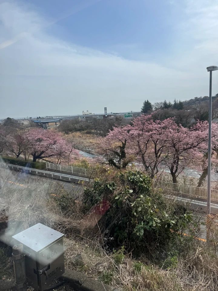 【2026年最新】車なしで行ける大人のご褒美ホテル・旅館6選！旅行好き読者が実際に泊まってよかった推し宿をまとめ_11