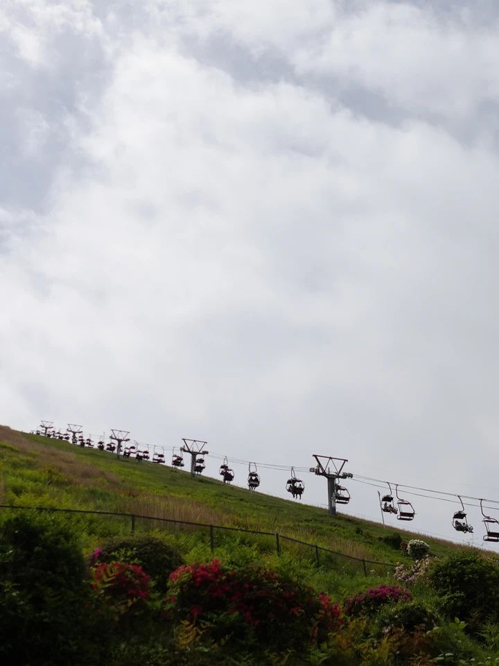 【2026年最新】車なしで行ける大人のご褒美ホテル・旅館6選！旅行好き読者が実際に泊まってよかった推し宿をまとめ_48