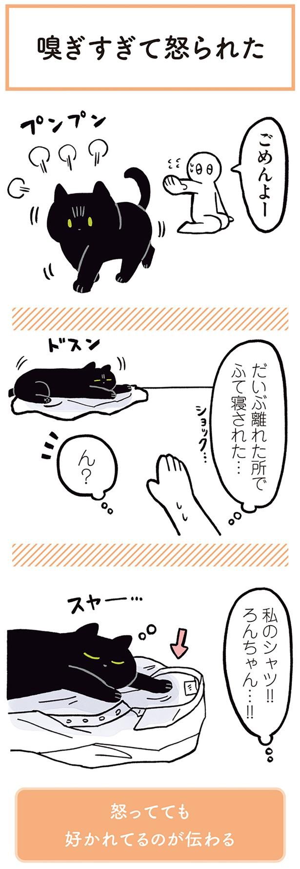 私のシャツ！！ （C）AKR／KADOKAWA