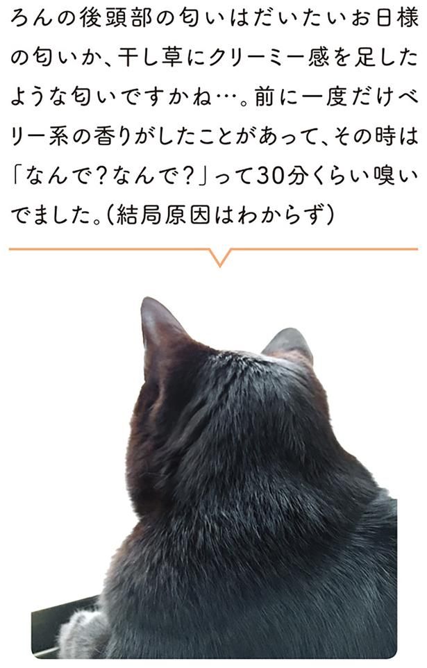 ろんの後頭部の匂いはだいたいお日様の匂いか、干し草にクリーミー感を足したような匂いですかね… （C）AKR／KADOKAWA