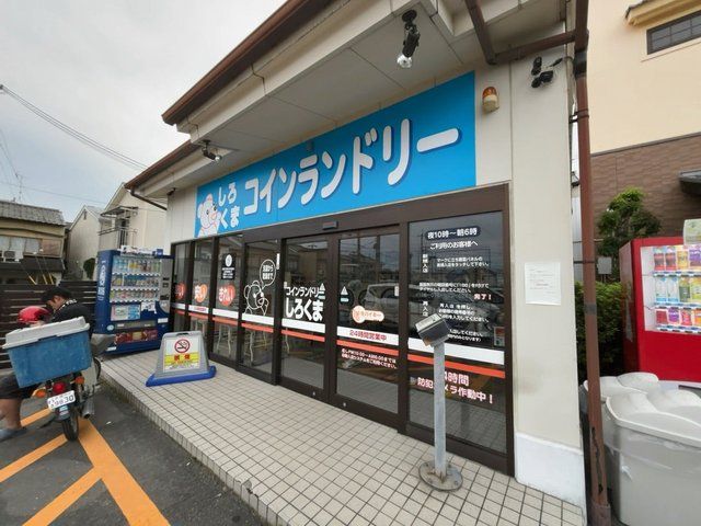  (319368)