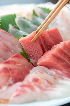 【福岡県福岡市】屋形船「中洲 博多舟」で九州産華味鳥の水たき提供開始！博多の食と風景を一度に体験