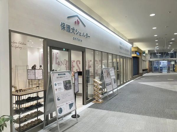 【大阪府】イオンモール大日に、地域と動物福祉をつなぐ「保護犬シェルターanifare」開設！