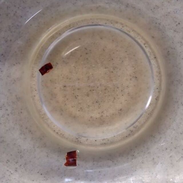 2. 甘酢を作る