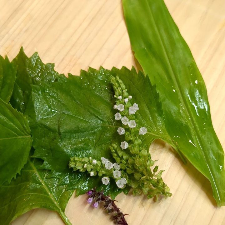 6. 夜はお刺身！