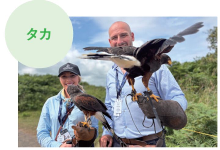 ゴルフ場に毒ヘビが出没⁉池にはワニ⁉米ツアー会場がカオスだった