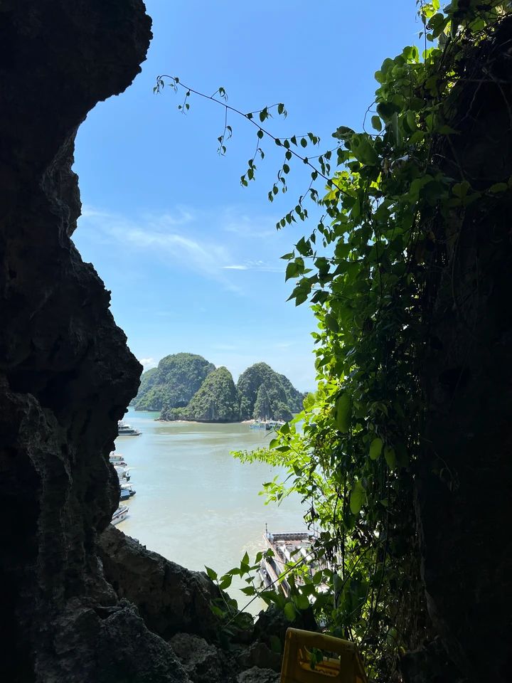 島の高台から見た景色