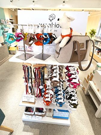 ペッツファースト吉祥寺本店に、プパキオッティのハーネスなどが登場！キャンペーンも