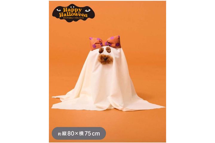 3COINS ペット用リボンおばけ布S：80×75cm／Happy Halloween／￥330（税込み）