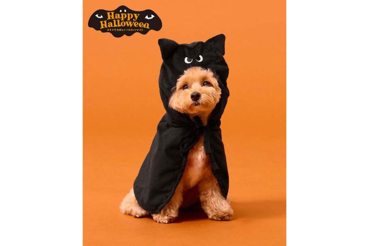 3COINS ペット用コウモリケープ／Happy Halloween／￥880（税込み）