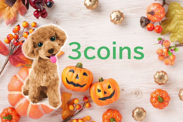 3COINSのペット用ハロウィングッズは服が苦手な子でもサッと装着できるアイテムがそろっています！