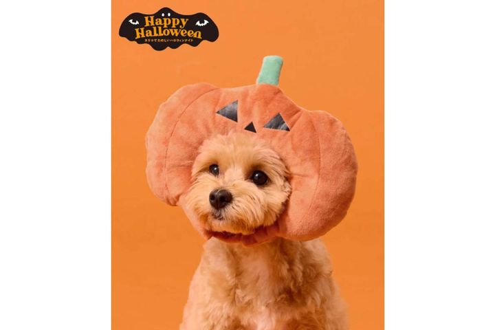 3COINS ペット用パンプキン顔ハメ／Happy Halloween／￥550（税込み）