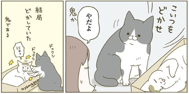こいつをどかせ （C）卵山玉子／KADOKAWA