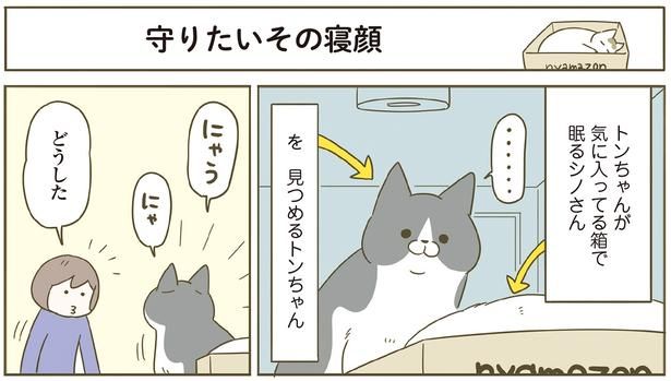 どうした （C）卵山玉子／KADOKAWA