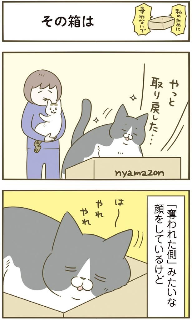 は〜やれやれ （C）卵山玉子／KADOKAWA
