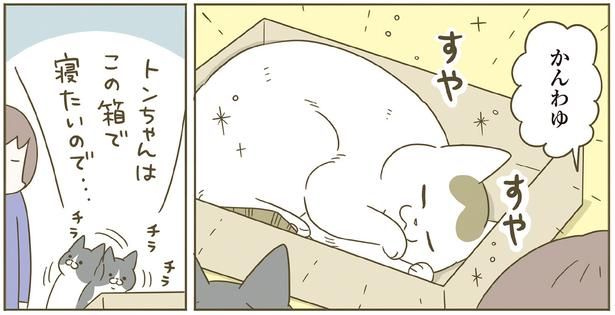 この箱で寝たいので… （C）卵山玉子／KADOKAWA