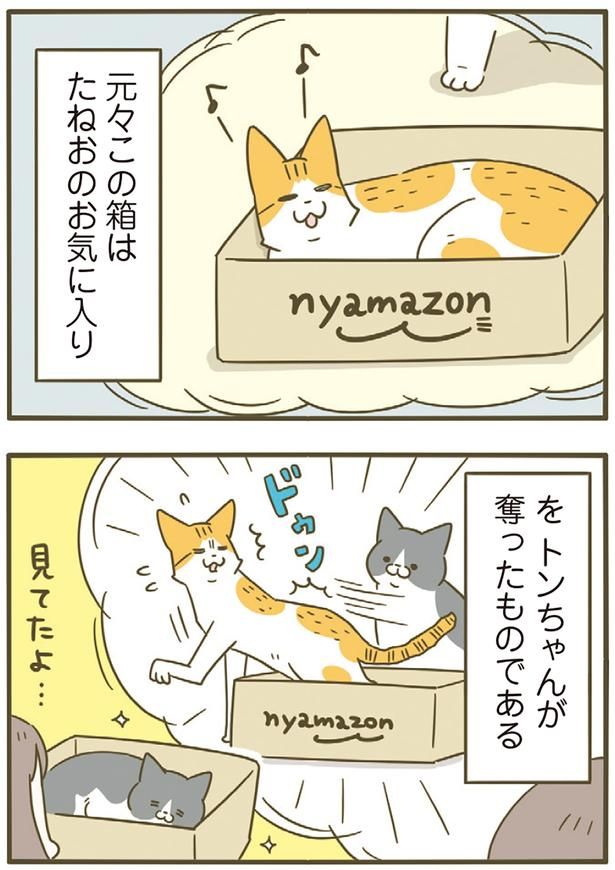 元々はたねおのお気に入り （C）卵山玉子／KADOKAWA