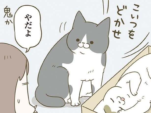 お気に入りボックスを取られ… （C）卵山玉子／KADOKAWA