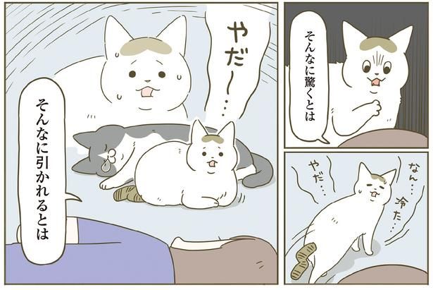 やだー… （C）卵山玉子／KADOKAWA