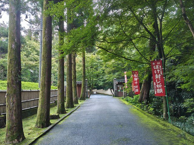 藤花 (319250)