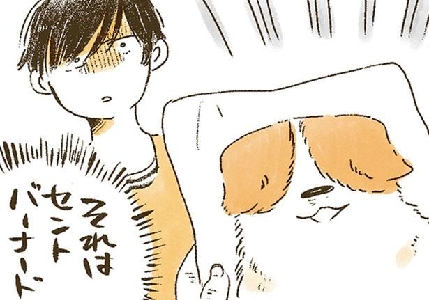 それはセントバーナード （C）佐倉イサミ／KADOKAWA