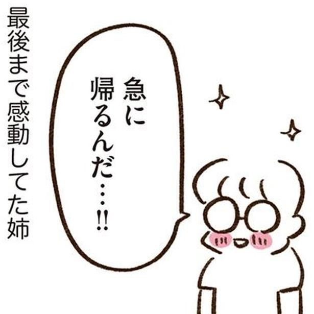 卓球部愛が強すぎる姉 （C）やまもとりえ／KADOKAWA