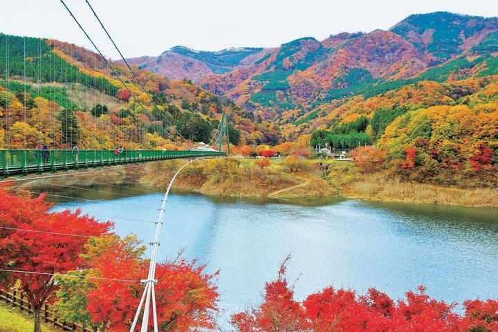 もみじ谷大吊橋
