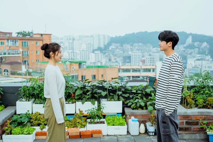 ドクタースランプ パク・シネとパク・ヒョンシクの２ショット（屋上編）