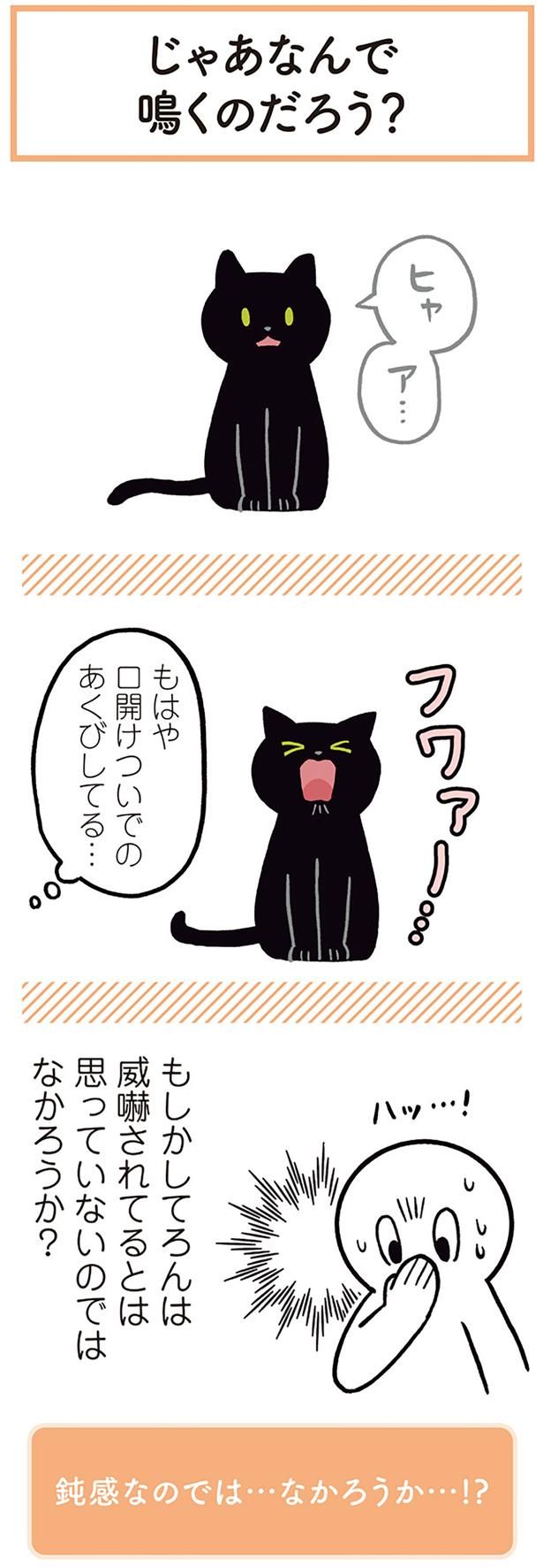 もはや口開けついでのあくびしてる… （C）AKR／KADOKAWA