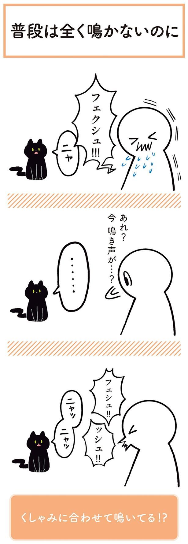 あれ？ 今鳴き声が…？ （C）AKR／KADOKAWA