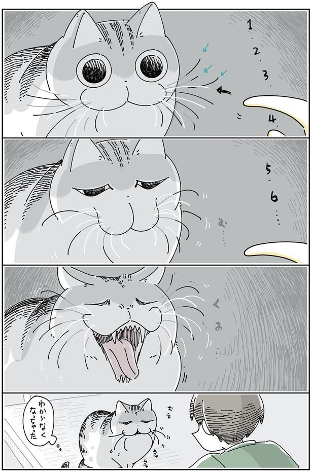 わからなくなっちゃった （C）キュルZ／KADOKAWA