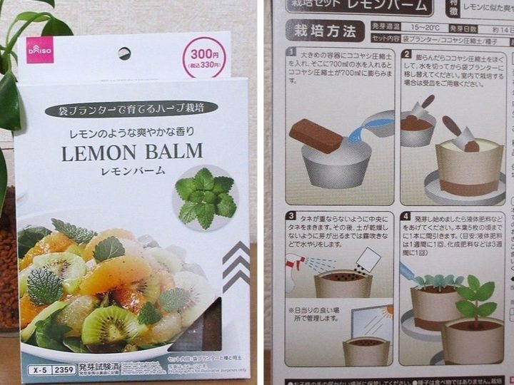 ダイソー330円／買ってみた！まいてみた！ダメもとで挑戦してみます