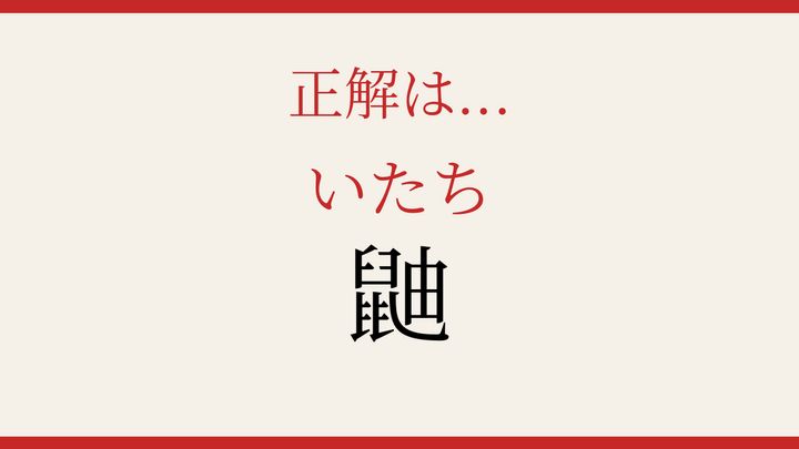 【難読漢字】読めたら周りに自慢しよう！身近な肉食動物の漢字の解答画像