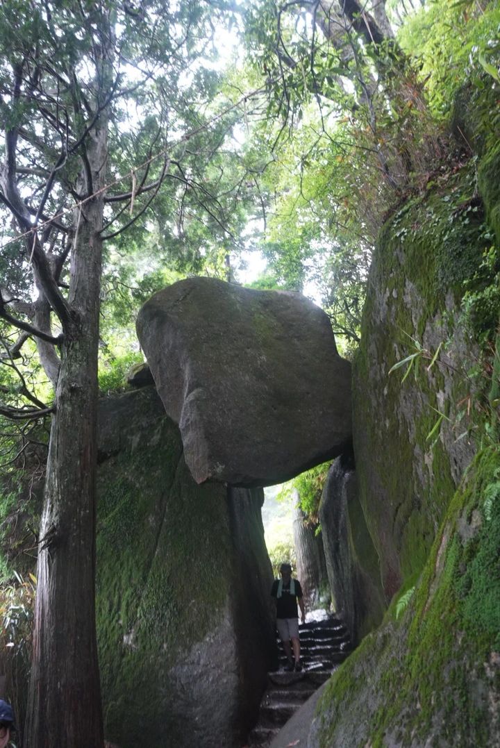 【筑波山登山】岩場だらけの中級コース体験記｜注意点・温泉情報あり_12
