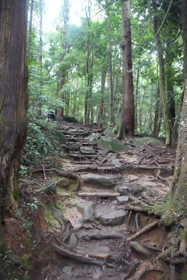 【筑波山登山】岩場だらけの中級コース体験記｜注意点・温泉情報あり_4