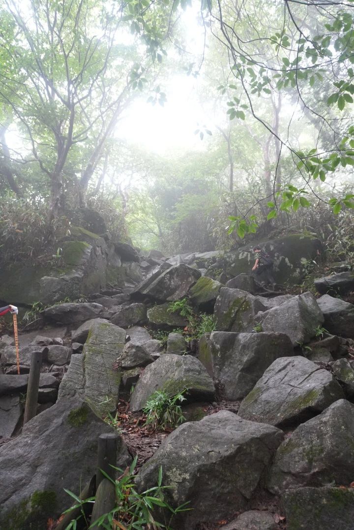 【筑波山登山】岩場だらけの中級コース体験記｜注意点・温泉情報あり_3
