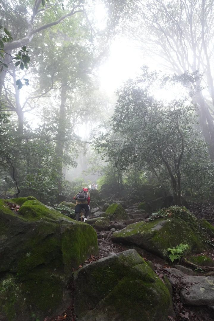 【筑波山登山】岩場だらけの中級コース体験記｜注意点・温泉情報あり_2
