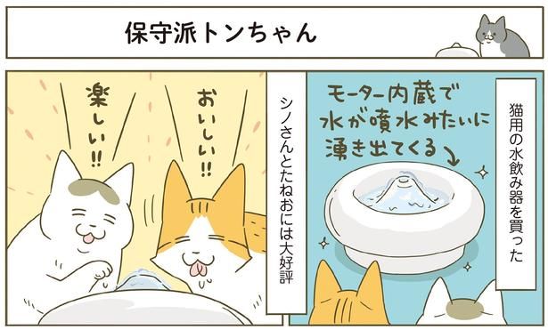 水飲み器を買った （C）卵山玉子／KADOKAWA