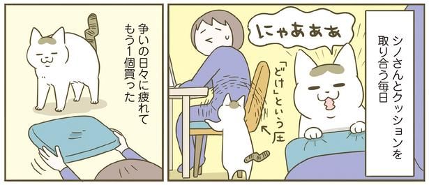 シノさんとクッションを取り合う毎日 （C）卵山玉子／KADOKAWA