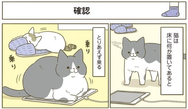 床に何か置いてあるととりあえず乗る （C）卵山玉子／KADOKAWA