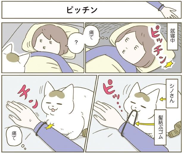 就寝中… （C）卵山玉子／KADOKAWA