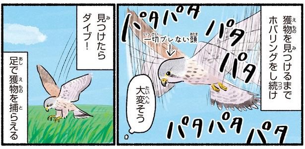 足で獲物を捕らえる （C）piro piro piccolo／KADOKAWA