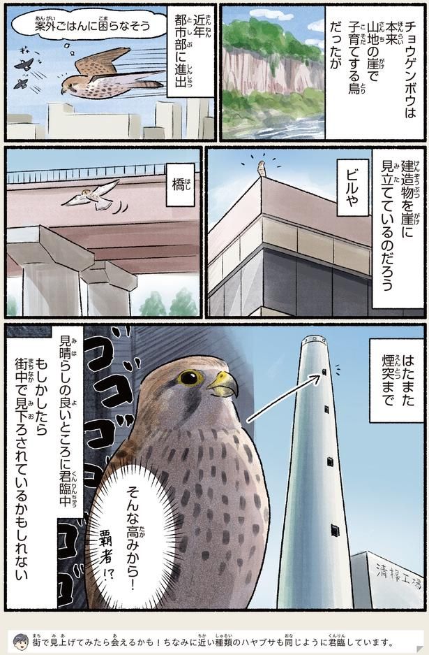 見晴らしの良いところに君臨中 （C）piro piro piccolo／KADOKAWA