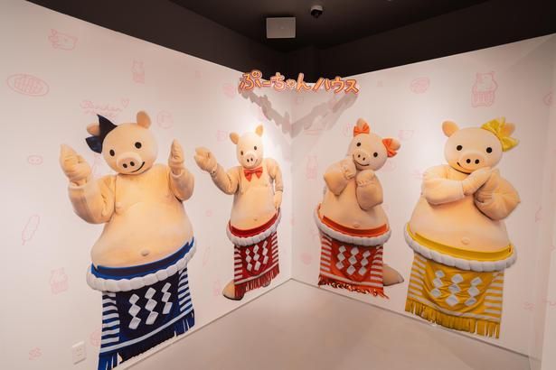 ぶーちゃんズと一緒に写真撮影ができる！ 画像提供：矢場とん