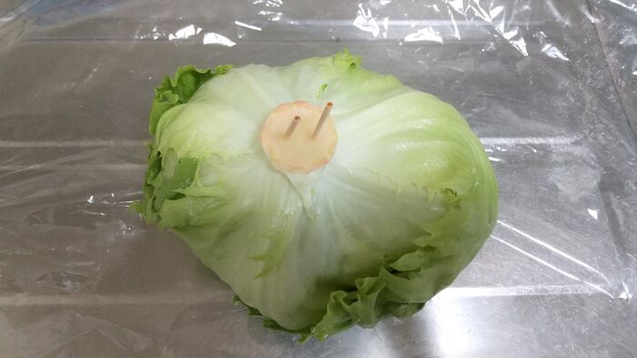 割りばし袋の「爪楊枝」、捨てるの待ってーー！食後だけじゃもったいない使い道♪