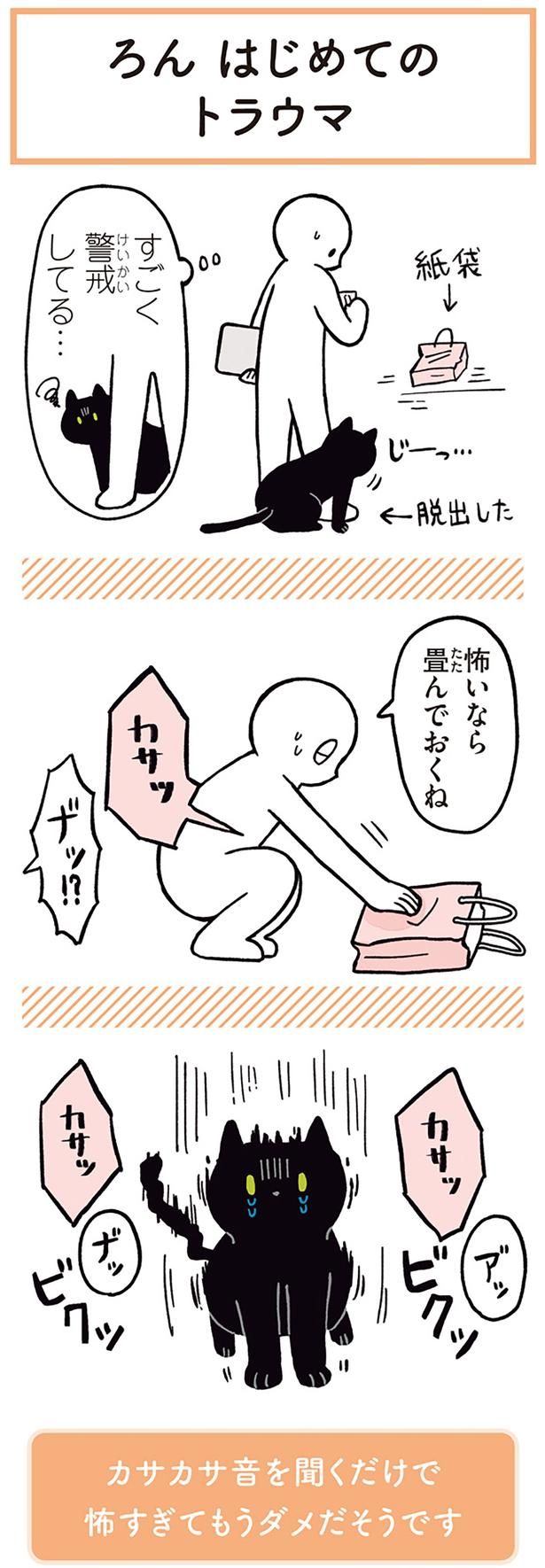 すごく警戒してる… （C）AKR／KADOKAWA