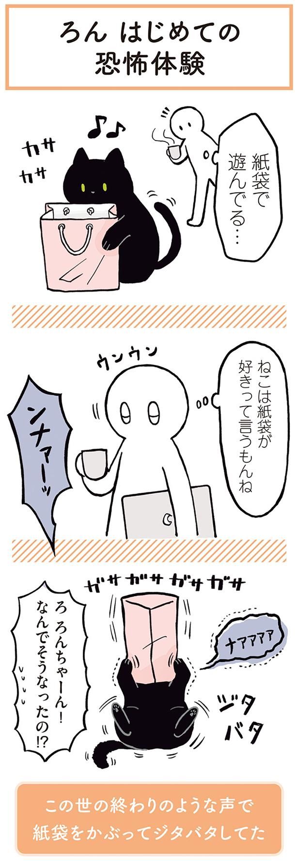 ねこは紙袋が好きって言うもんね （C）AKR／KADOKAWA